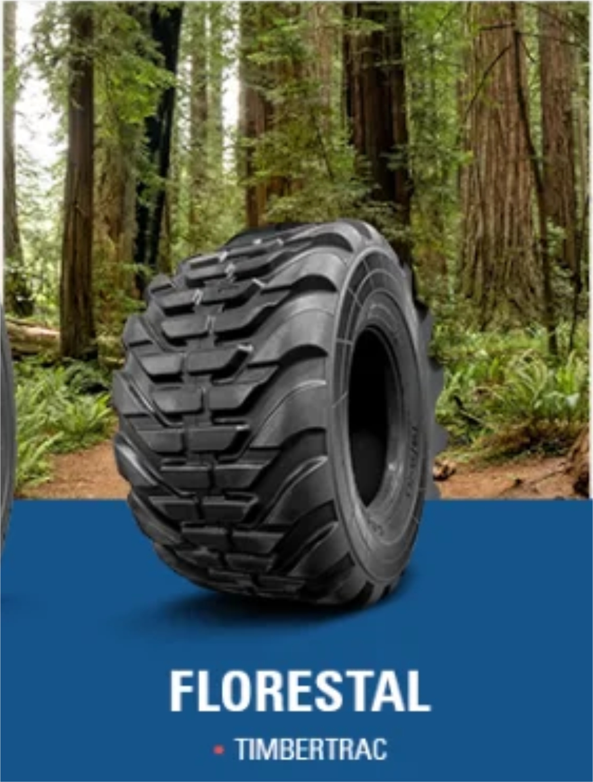 Pneus Florestal